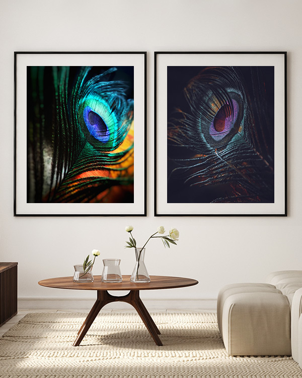 colorful-feather-wall-art